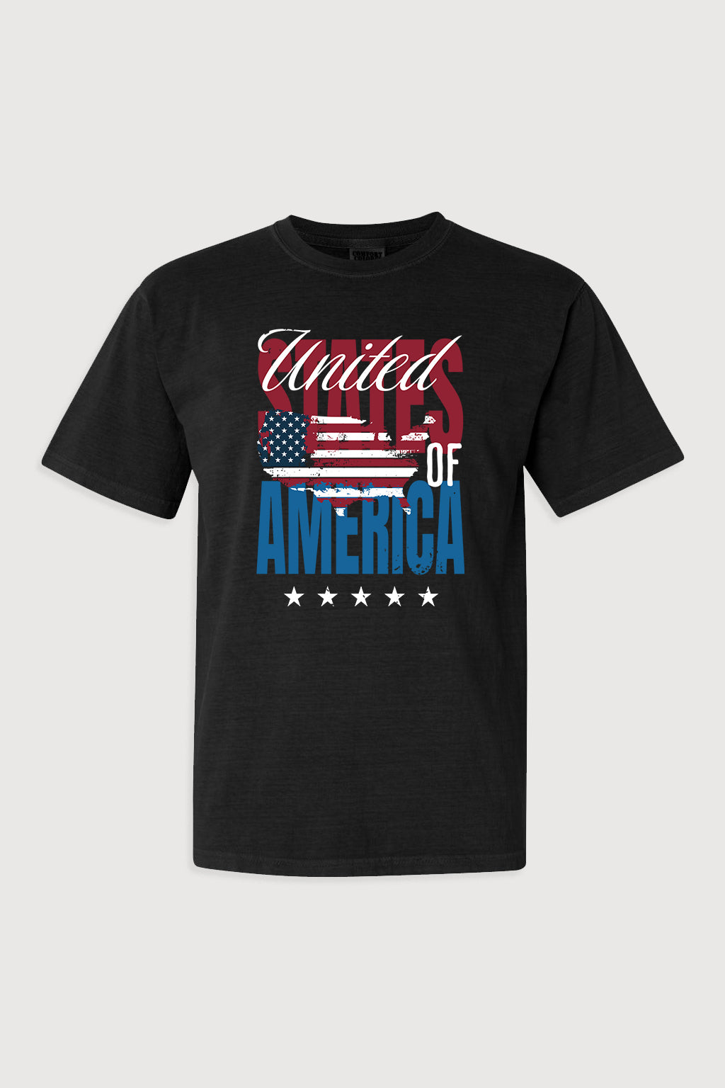 Unisex Garment-Dyed Heavyweight T-Shirt Black